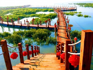 出发南宁旅游团_7月赴南宁旅游_我去南宁旅游