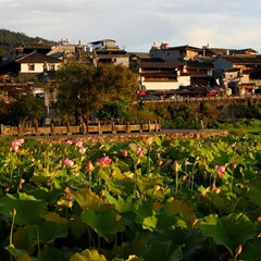 景点模块 