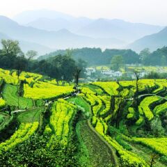 景点模块 