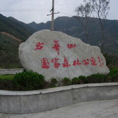 景点模块 