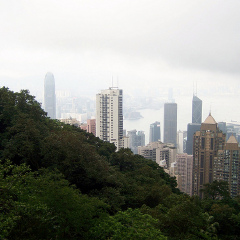 太平山顶 景点模块