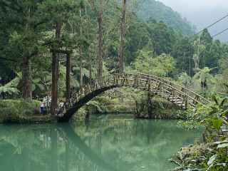 去西双版纳的旅游费用_去西双版纳旅游跟团去_西双版纳旅行游