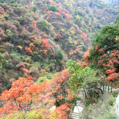 景点模块 