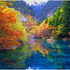 景点模块 