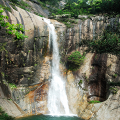 活动模块 