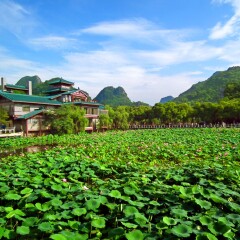 景点模块 