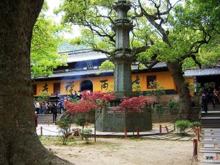 寧波普陀山旅行團(tuán)_2021年寧波普陀山旅游團(tuán)報(bào)價(jià)_寧波普陀山自由行旅游團(tuán)