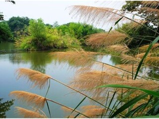 旅行團(tuán)杭州烏鎮(zhèn)游_杭州烏鎮(zhèn)游跟團(tuán)多少錢2021_杭州烏鎮(zhèn)報(bào)團(tuán)多少錢