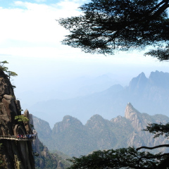 景点模块 
