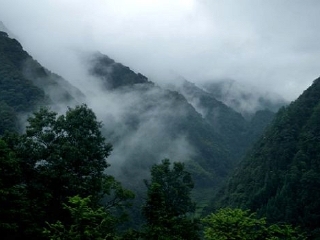 去云南游价格_去云南旅游怎么走_游云南的价钱