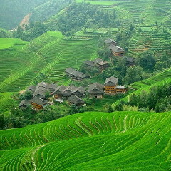 景点模块 
