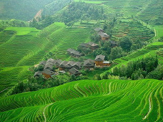 廣州云南昆明旅游團_去云南昆明旅游_云南昆明旅游團報價