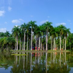 景点模块 