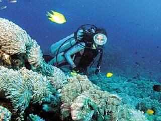 巴厘岛双飞旅游价格_7月赴巴厘岛旅游_去巴厘岛5天旅游