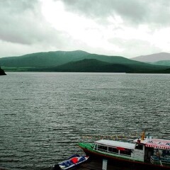 活动模块 