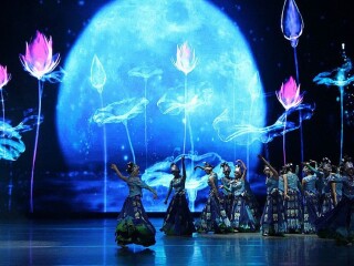 到贵州黄果树旅游网_贵州黄果树旅游多少_贵州黄果树特价旅游团报价