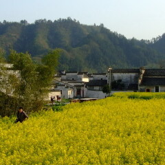 景点模块 