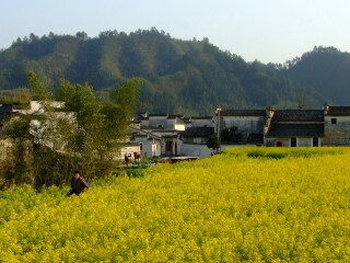 黃山旅游大約多少錢_黃山旅游團(tuán)報(bào)價(jià)_黃山私人定制旅游