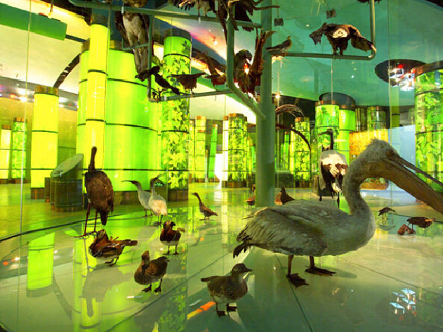 <上海迪士尼乐园-可选科技馆或环球金融中