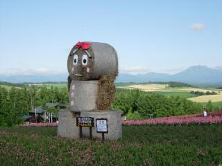 北海道跟团游的报价_最近北海道旅游_北海道旅游好的团