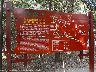 到凤凰古城六日旅游_旅游到凤凰古城_凤凰古城几日游好