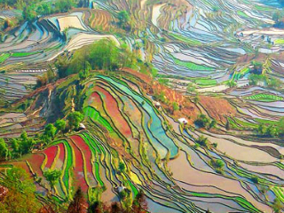 香港旅游團(tuán)云南昆明_現(xiàn)在去云南昆明旅游多少錢_云南昆明旅游團(tuán)報(bào)價(jià)