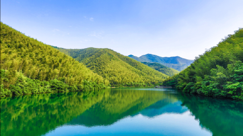 天目湖南山竹海