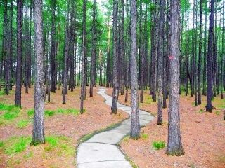 哈爾濱游報(bào)價(jià)_哈爾濱旅行團(tuán)旅游報(bào)價(jià)_哈爾濱旅游花多少錢