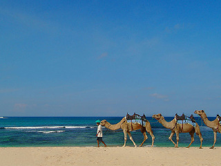 巴厘島最適合旅游的季節(jié)_巴厘島旅游價(jià)格多少跟團(tuán)_旅游去巴厘島
