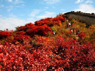 北京旅游報(bào)價(jià)_去北京旅游怎么走_(dá)旅游去北京