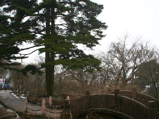 華山游價(jià)格_華山旅游需要多少錢_華山自由游價(jià)格多少