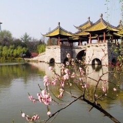 景点模块 
