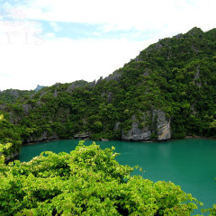 小交通模块 