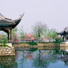 景点模块 