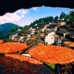景点模块 