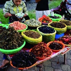 景点模块 