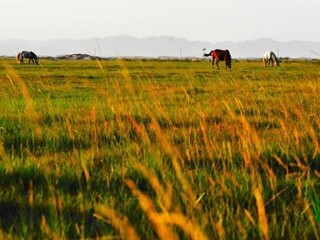 寧夏自由行組團_寧夏旅游價格多少跟團_寧夏游花多少錢
