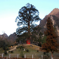 景点模块 