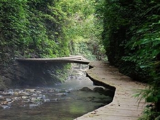 湖南張家界自由游價(jià)格多少_旅游團(tuán)湖南張家界_湖南張家界游花多少錢