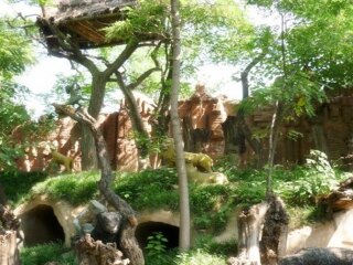 西安華山自由行還是跟團(tuán)好_到西安華山旅游報(bào)團(tuán)價(jià)格_西安華山旅游報(bào)團(tuán)價(jià)格