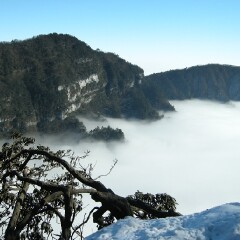 小交通模块 