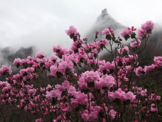 美国团旅游_去跟团旅游美国_出发美国旅游