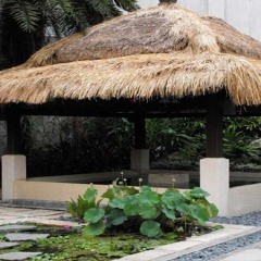 活动模块 