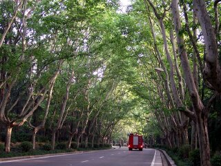 華東蘇州旅游費用_華東蘇州旅行團旅游報價_近期華東蘇州游價格