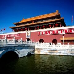 活动模块 