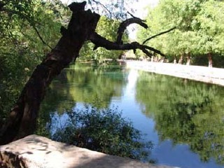 去云南香格里拉游要多少錢_旅游團云南香格里拉_云南香格里拉跟團游與自由行