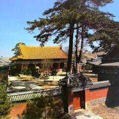 景点模块 