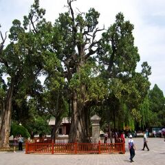 景点模块 