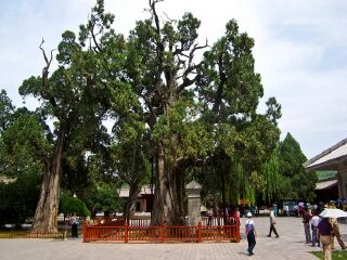 西安華山旅游路線_旅游去西安華山_西安華山旅游價(jià)格多少