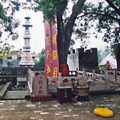 景点模块 